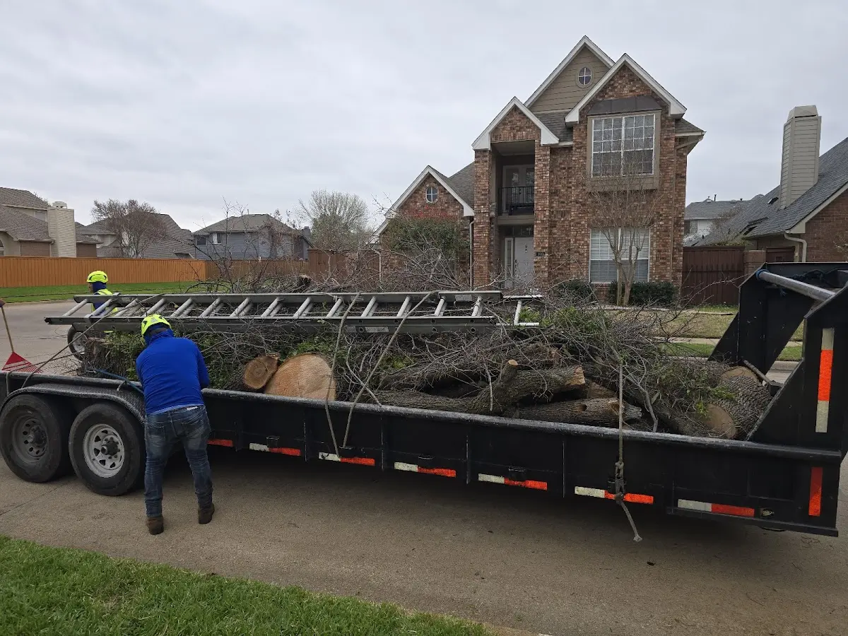 Expert Tree Pest Control with proper safety equipment in Winter Harbor